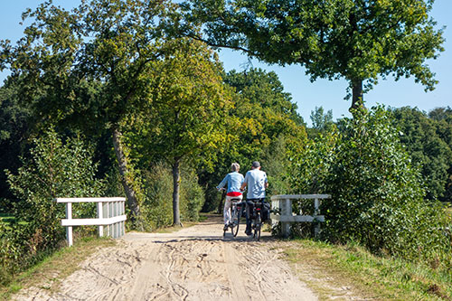 Quintusbos / Appelbergen Noordlaaderbos