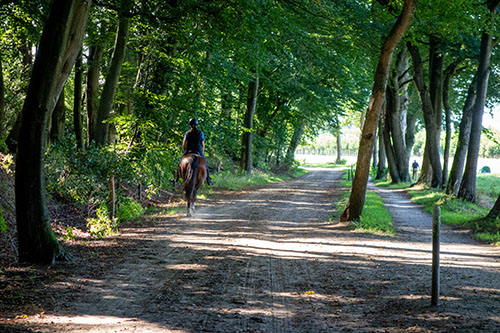 Quintusbos / Appelbergen Noordlaaderbos