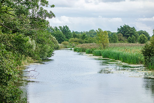 De Braak / Onlanden